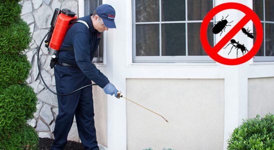 Ergene Gümüşkurt İlaçlama böcek ilaçlama ve haşere kontrolü — ilaclama-tr.com
